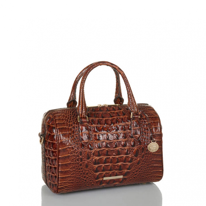 Brown Women's Brahmin Stacy Satchel Bags | 4091SYBLO