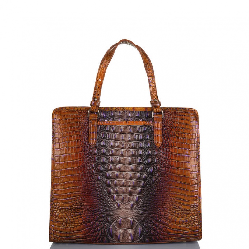 Brown Women's Brahmin Tia Tote Bags | 4172GTCXP