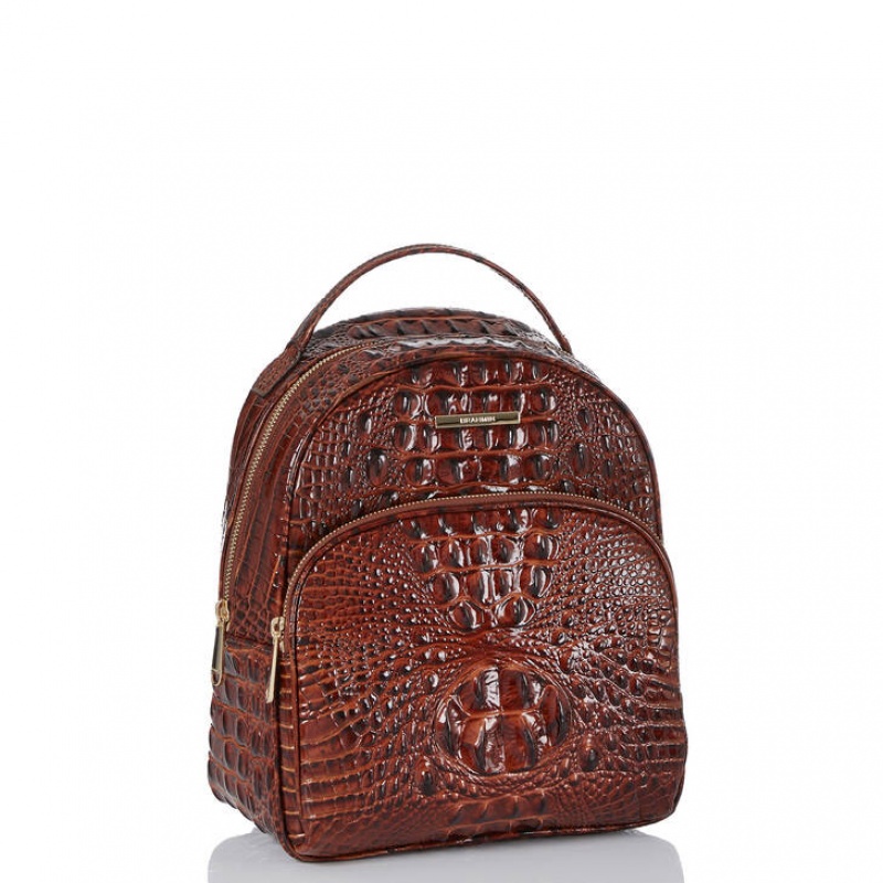 Chocolate Women's Brahmin Chelcy Backpacks | 5386RJAFN