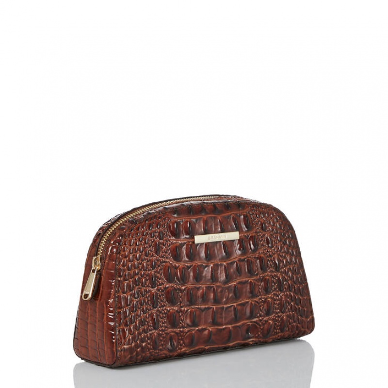 Chocolate Women's Brahmin Dany Travel Bags | 6501DURZP