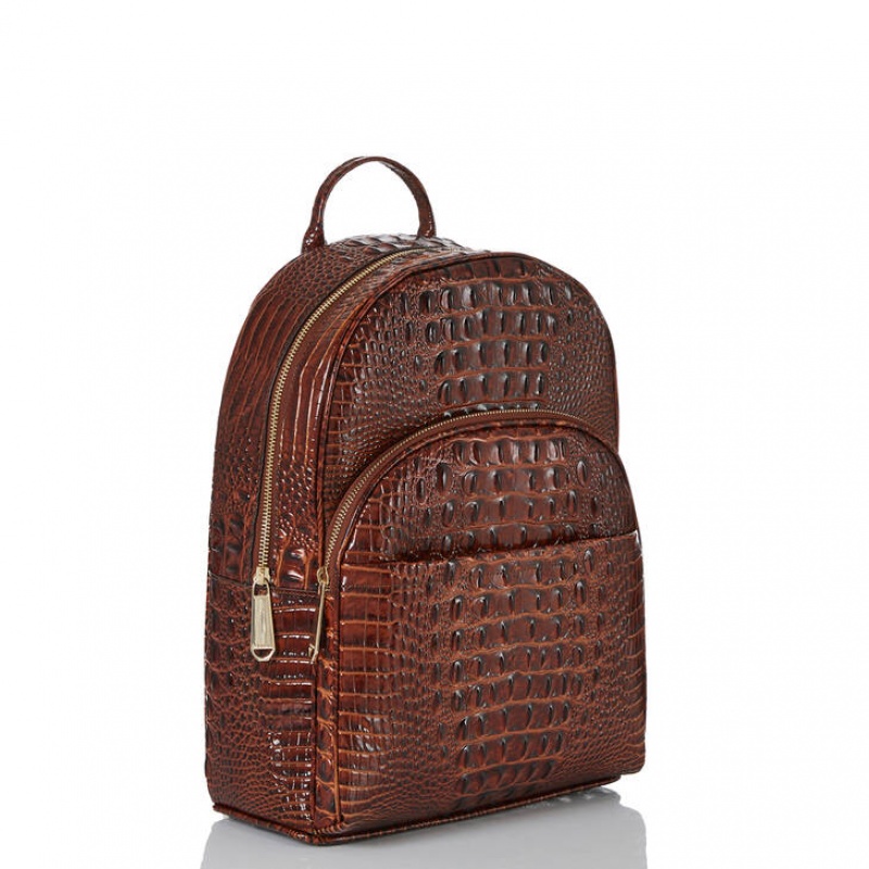 Chocolate Women's Brahmin Dartmouth Backpack Backpacks | 6427WRQKH