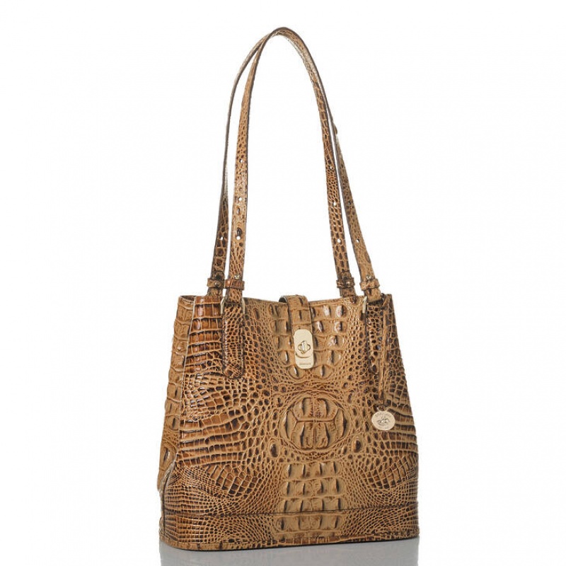 Chocolate Women's Brahmin Fiora Bucket Bags | 8752FORNI