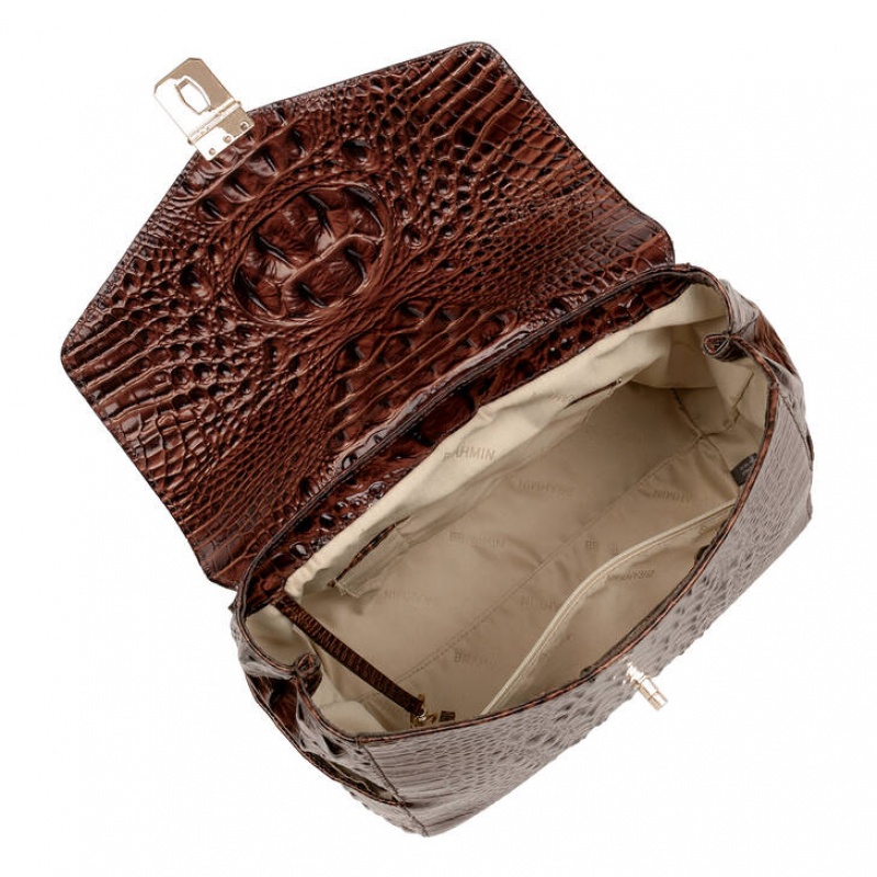 Chocolate Women's Brahmin Liz Backpacks | 4168PBCZG