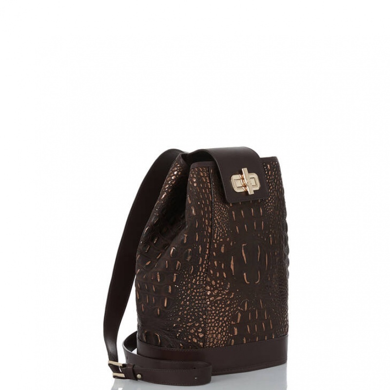 Chocolate Women's Brahmin Maddie Bucket Bags | 7351XCHYV