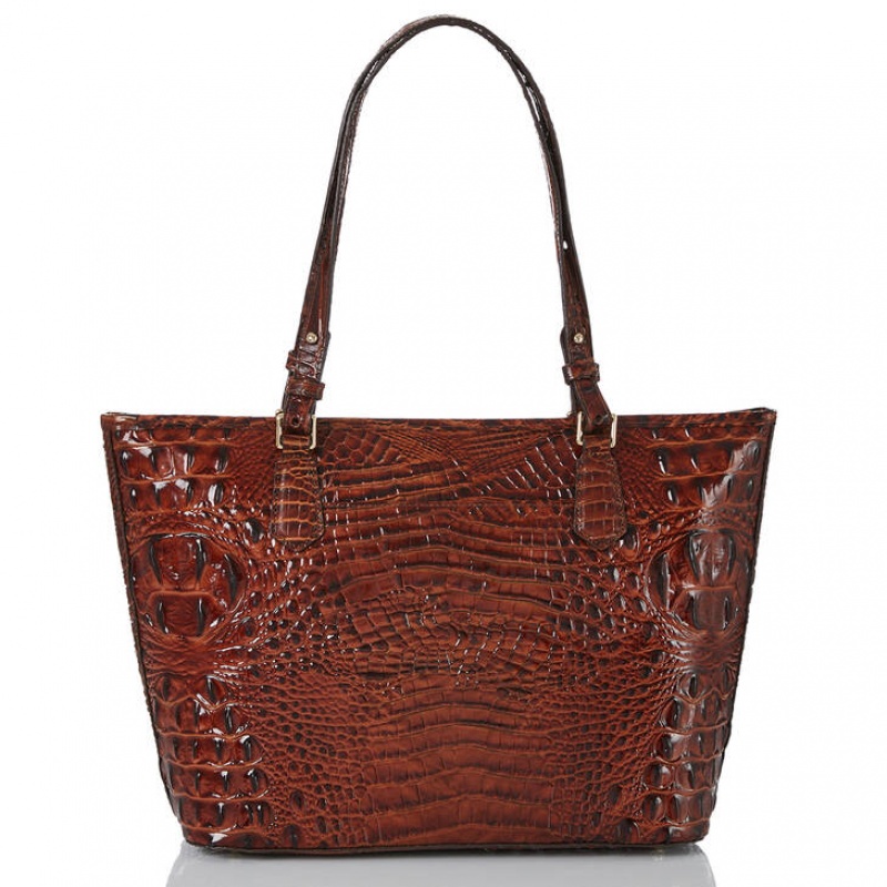 Chocolate Women's Brahmin Medium Asher Tote Bags | 2403SOQIW