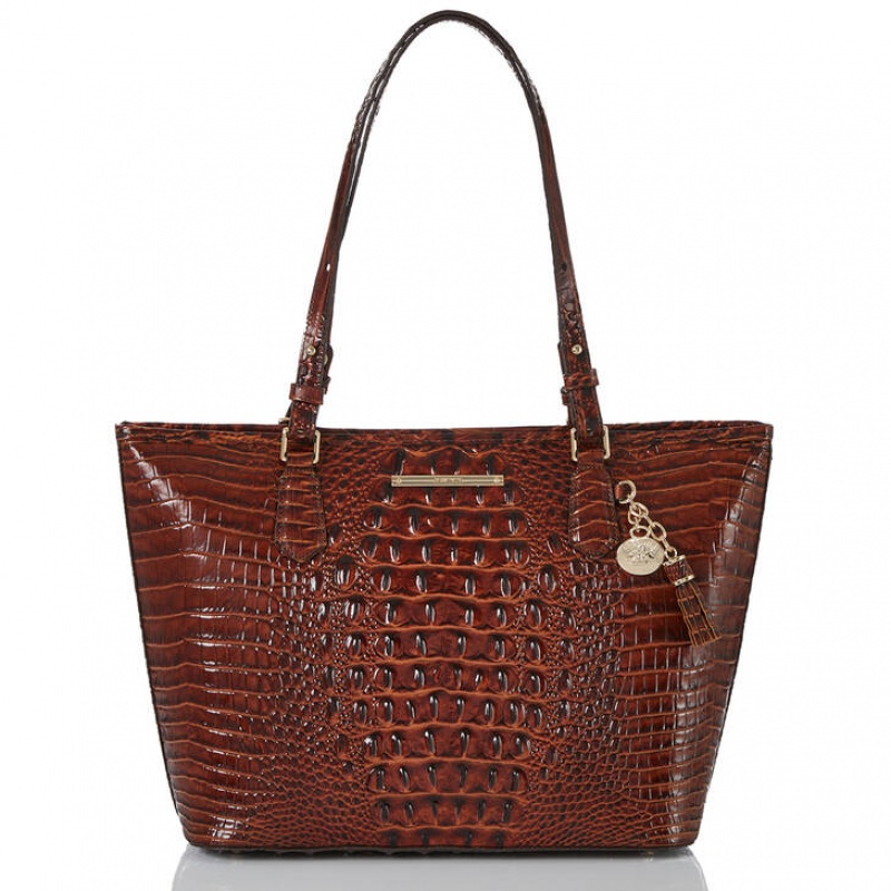 Chocolate Women\'s Brahmin Medium Asher Tote Bags | 2403SOQIW