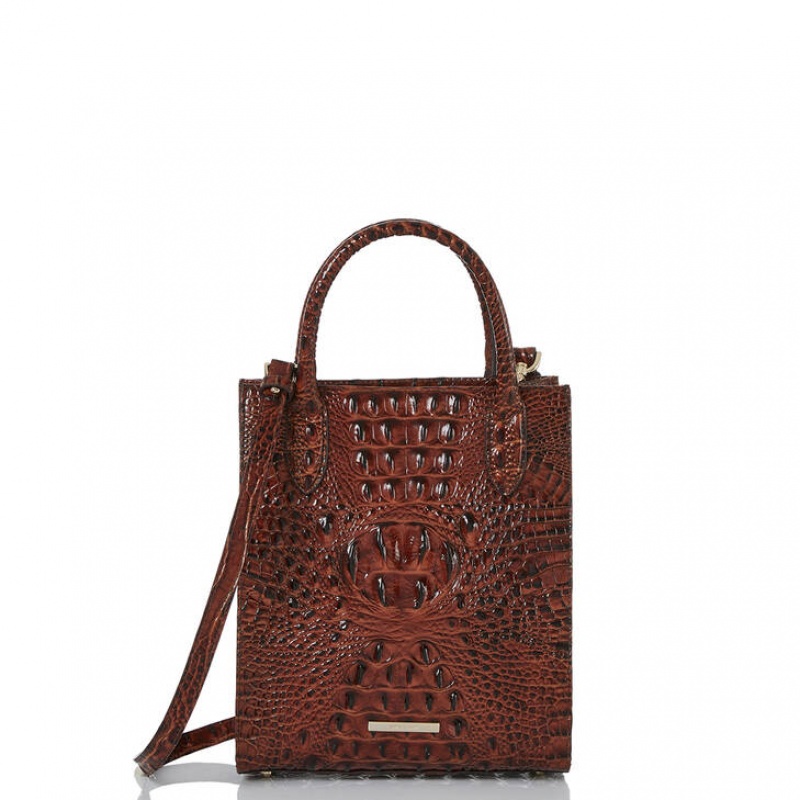 Chocolate Women's Brahmin Moira Tote Bags | 0467YEUPZ