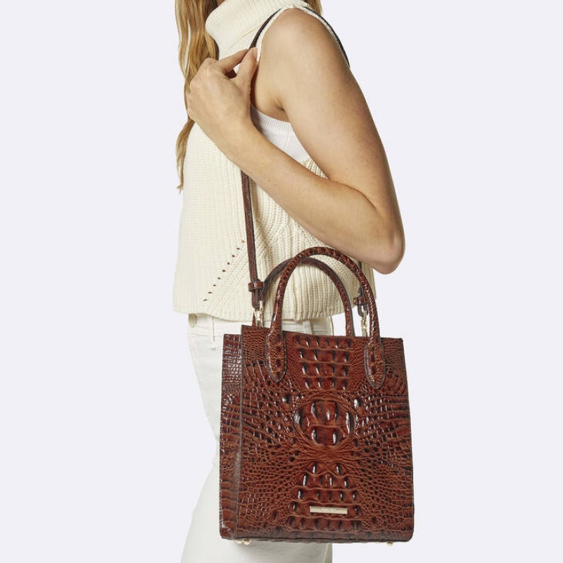 Chocolate Women's Brahmin Moira Tote Bags | 0467YEUPZ