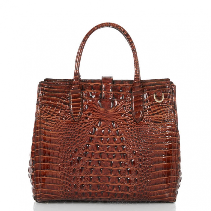 Chocolate Women's Brahmin Nakita Travel Bags | 6319DJFGH