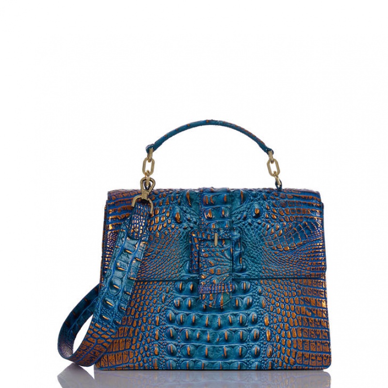 Brahmin bags on sale best sale