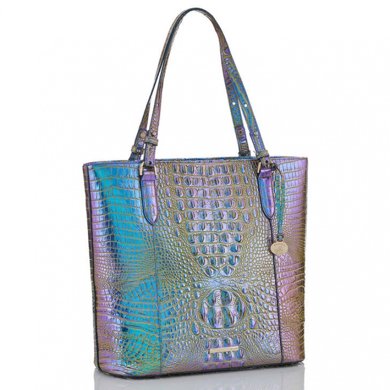 Multicolor Women\'s Brahmin Abigail Tote Bags | 0782XBGWQ