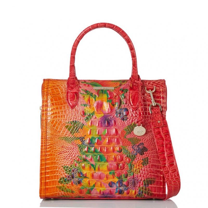 Multicolor Women's Brahmin Caroline Satchel Bags | 8793XSTFJ