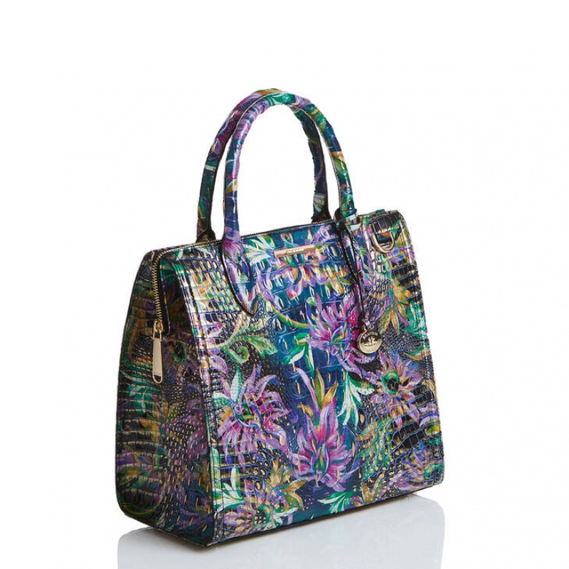 Multicolor Women's Brahmin Caroline Satchel Bags | 7214PCHFA