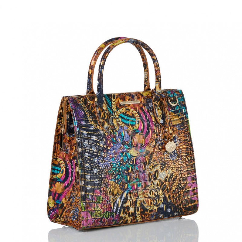 Multicolor Women's Brahmin Caroline Satchel Bags | 8950ASENM