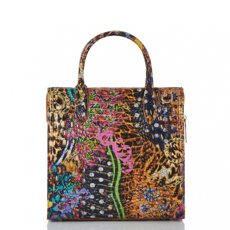 Multicolor Women's Brahmin Caroline Satchel Bags | 8950ASENM