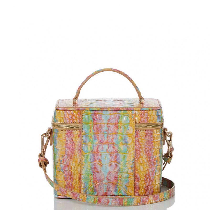 Multicolor Women's Brahmin Chantal Crossbody Bags | 1273ETKYX