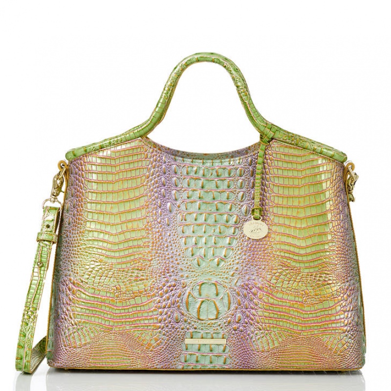 Multicolor Women's Brahmin Elaine Satchel Bags | 0249HMDAG