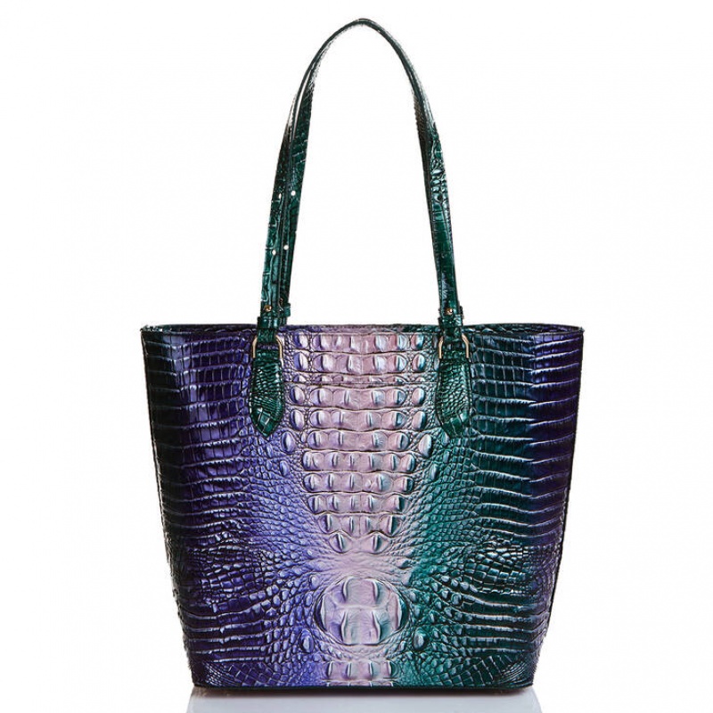 Multicolor Women's Brahmin Ellen Tote Bags | 0932CJHLA