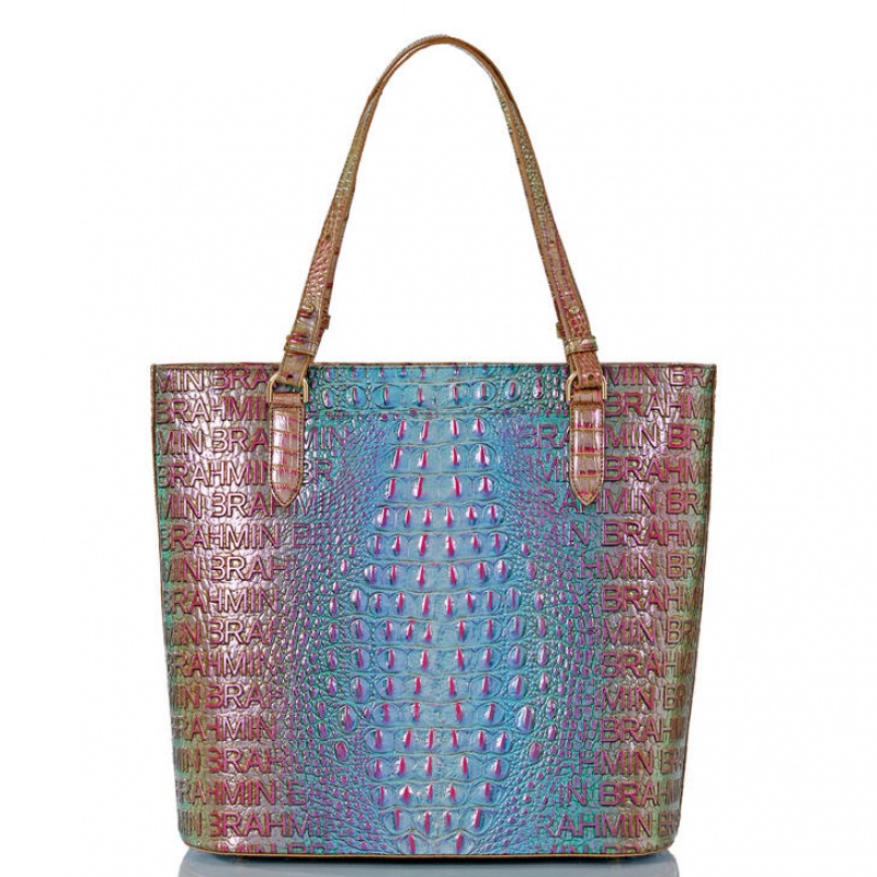 Multicolor Women's Brahmin Ezra Tote Bags | 6213IYZAD