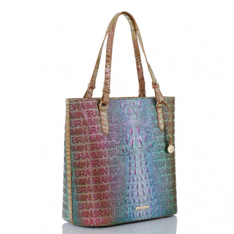 Multicolor Women\'s Brahmin Ezra Tote Bags | 6213IYZAD