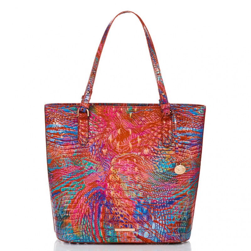 Multicolor Women\'s Brahmin Ezra Tote Bags | 6241EFTYZ