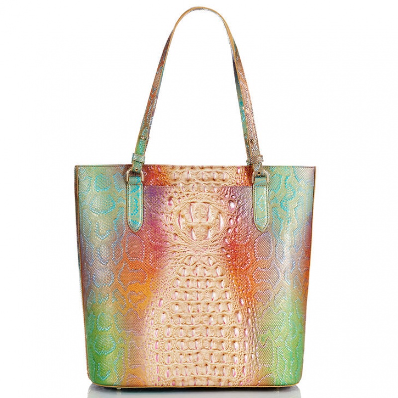 Multicolor Women's Brahmin Ezra Tote Bags | 8270QLTDX