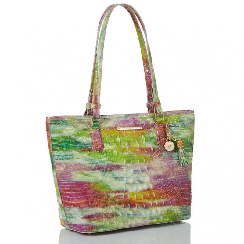 Multicolor Women's Brahmin Medium Asher Tote Bags | 0743HRBIP