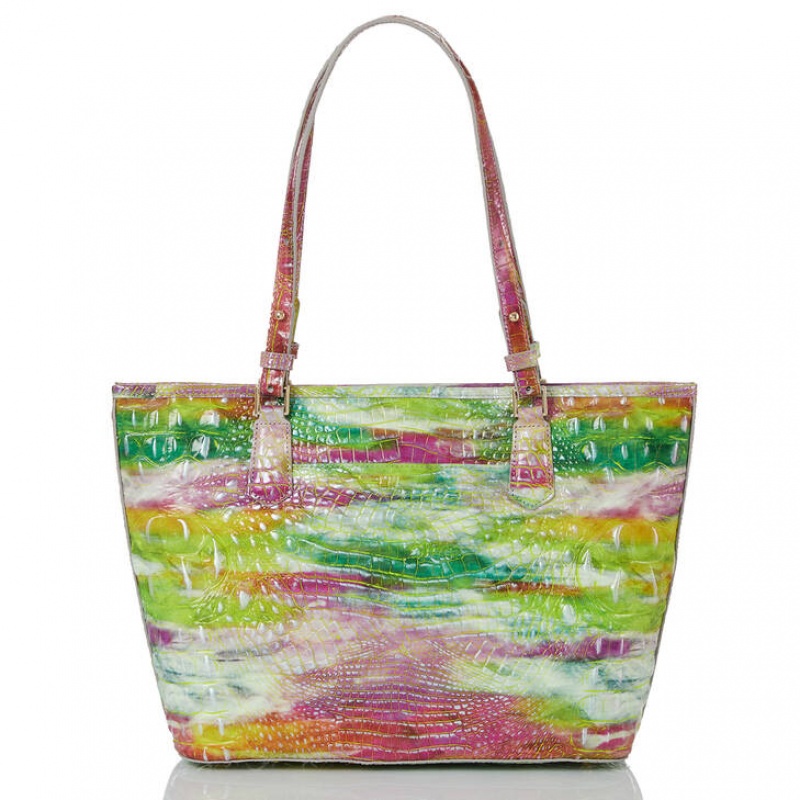 Multicolor Women's Brahmin Medium Asher Tote Bags | 0743HRBIP