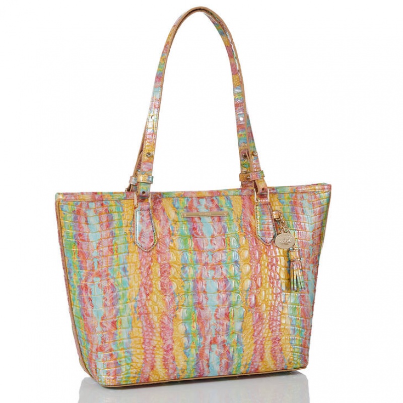 Multicolor Women's Brahmin Medium Asher Tote Bags | 8901PGZNR