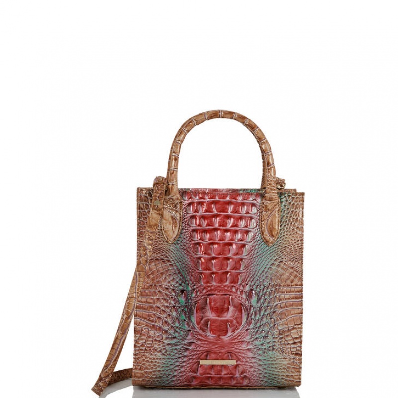 Multicolor Women's Brahmin Moira Tote Bags | 3067XUITG