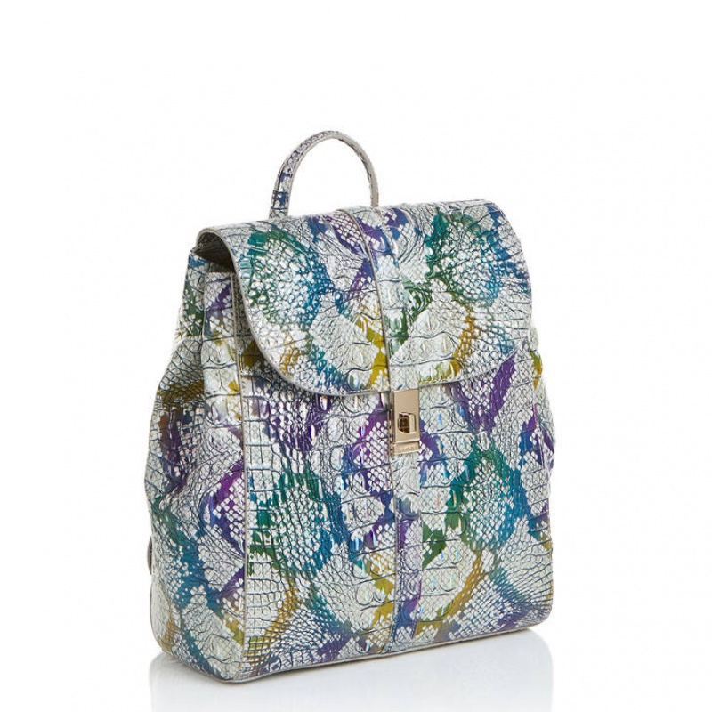 Multicolor Women's Brahmin Sadie Backpacks | 5971VCWIT