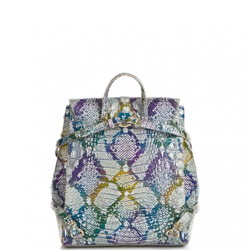 Multicolor Women's Brahmin Sadie Backpacks | 5971VCWIT