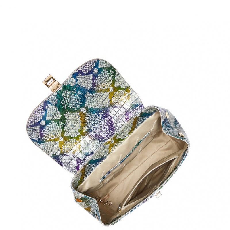 Multicolor Women's Brahmin Sadie Backpacks | 5971VCWIT