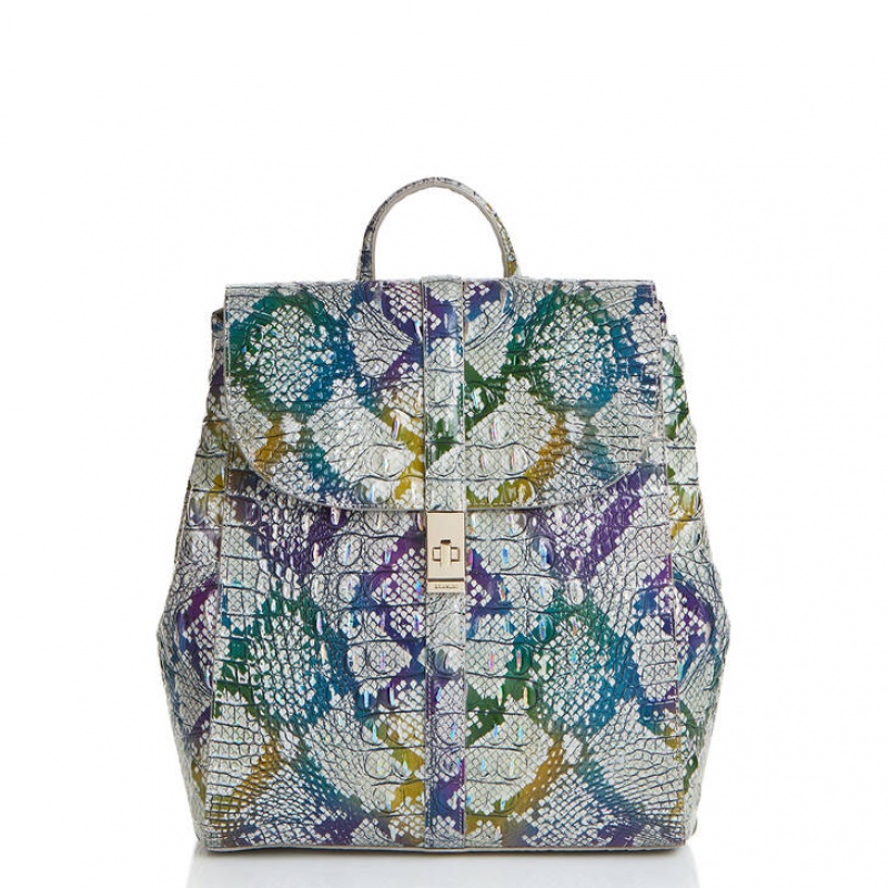 Multicolor Women\'s Brahmin Sadie Backpacks | 5971VCWIT