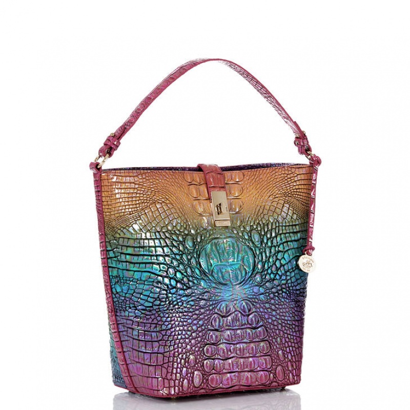 Multicolor Women's Brahmin Shira Bucket Bags | 4786MVAZX