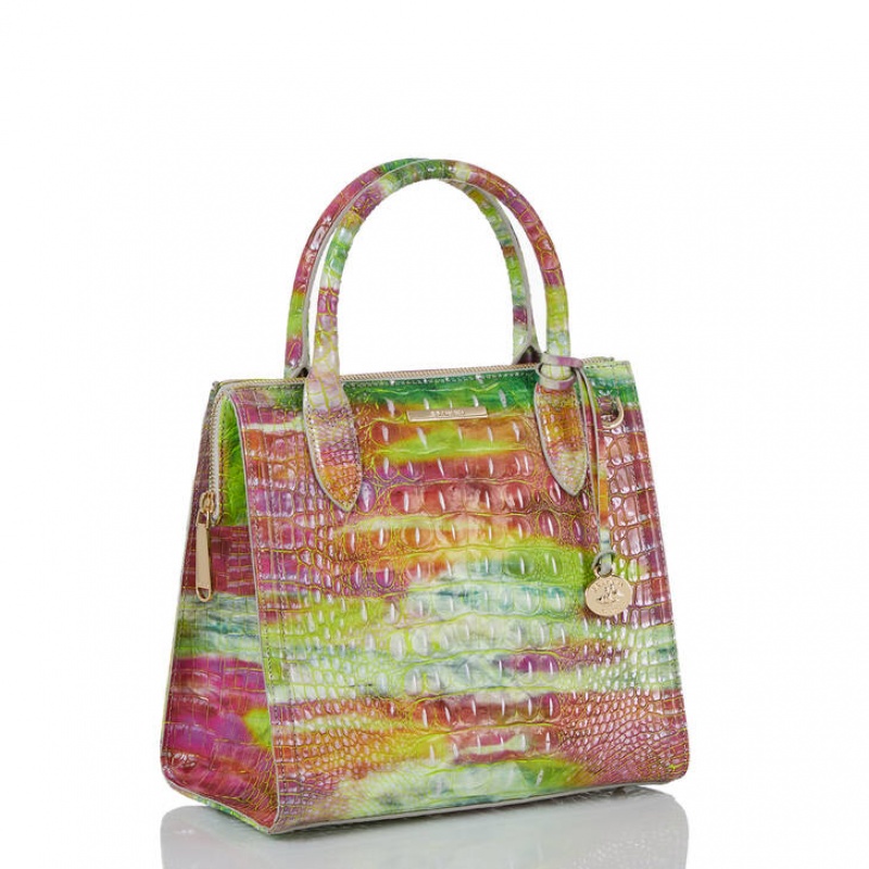 Multicolor Women's Brahmin Small Caroline Satchel Bags | 8062NXBYS