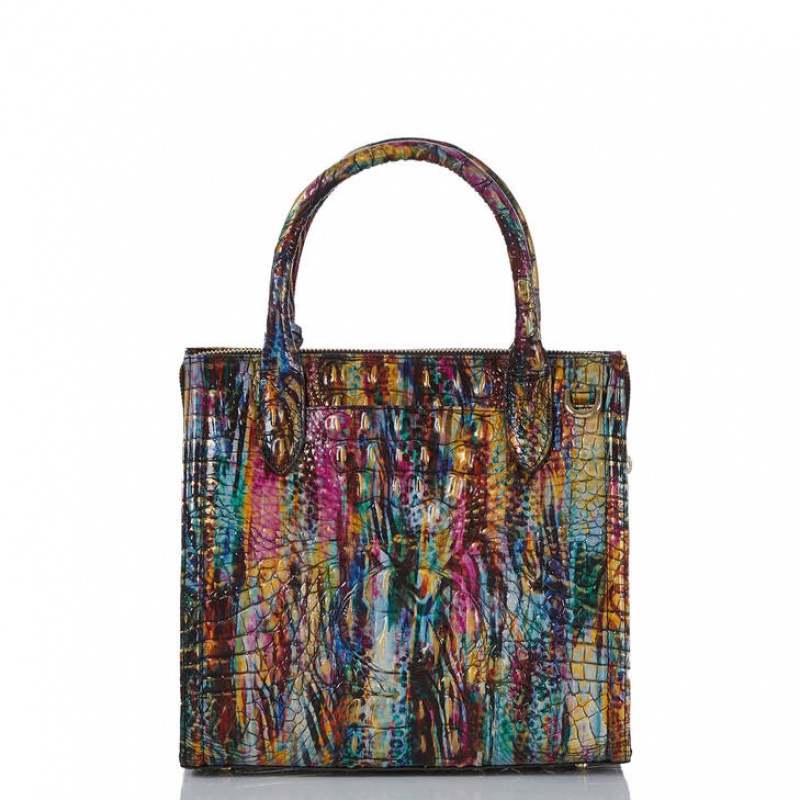 Multicolor Women's Brahmin Small Caroline Satchel Bags | 2814LWARE