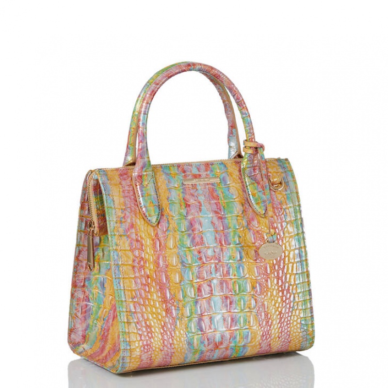 Multicolor Women's Brahmin Small Caroline Satchel Bags | 2760IJGMX