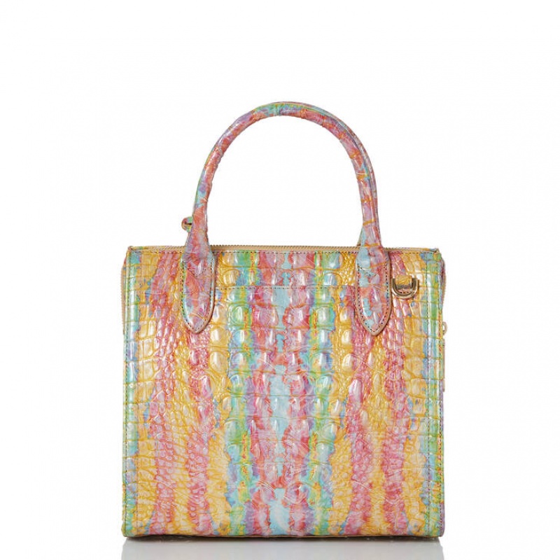 Multicolor Women's Brahmin Small Caroline Satchel Bags | 2760IJGMX