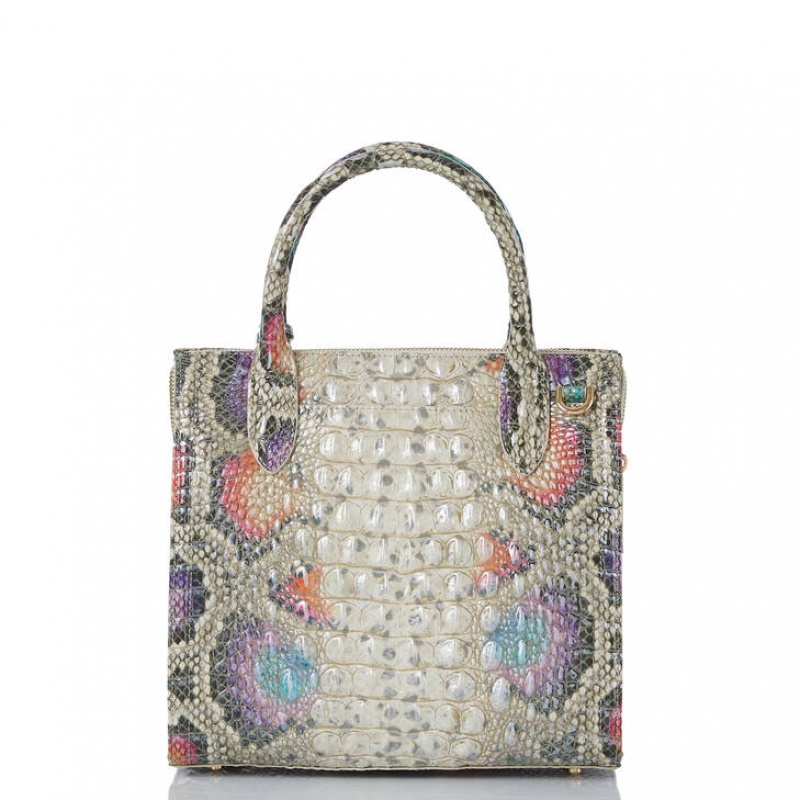 Multicolor Women's Brahmin Small Caroline Satchel Bags | 3504GNFXA