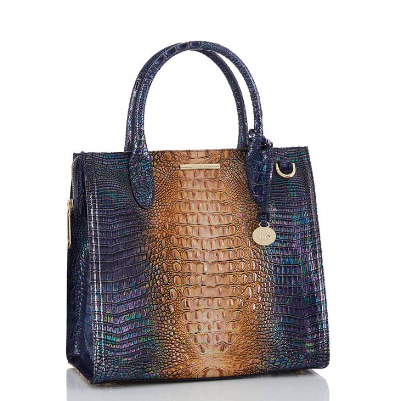 Navy Women's Brahmin Caroline Satchel Bags | 6205UVTWC