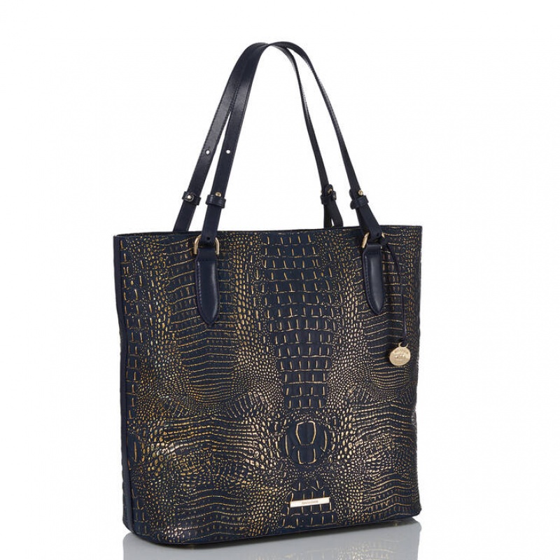 Navy Women's Brahmin Ezra Tote Bags | 9370GIAFO