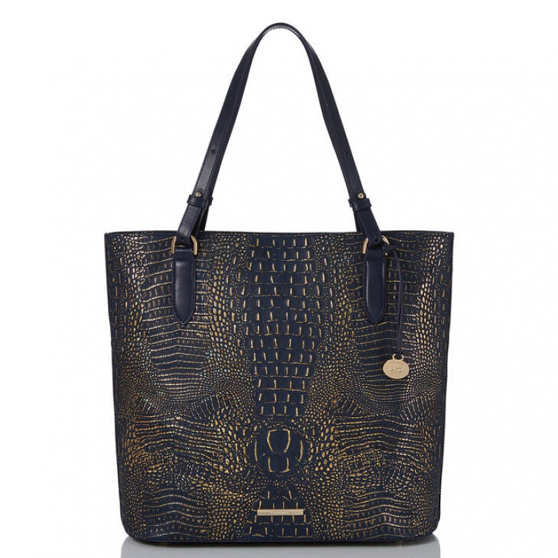 Navy Women\'s Brahmin Ezra Tote Bags | 9370GIAFO