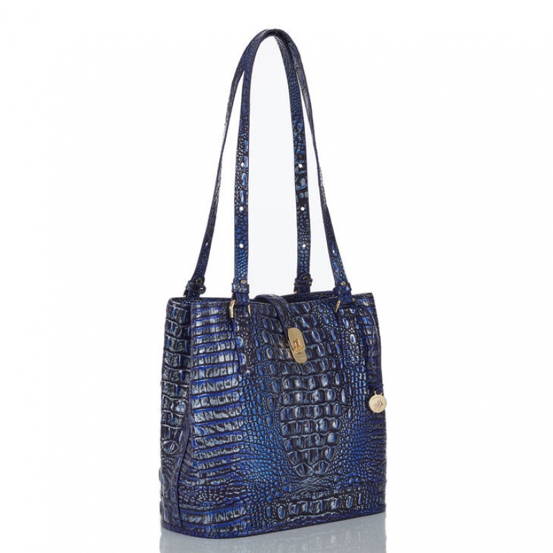 Navy Women's Brahmin Fiora Bucket Bags | 8967LBGJT