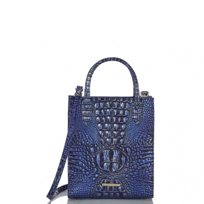 Navy Women's Brahmin Moira Tote Bags | 4210QCBSR