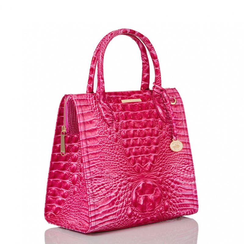 Pink Women's Brahmin Caroline Satchel Bags | 3968SUDIK