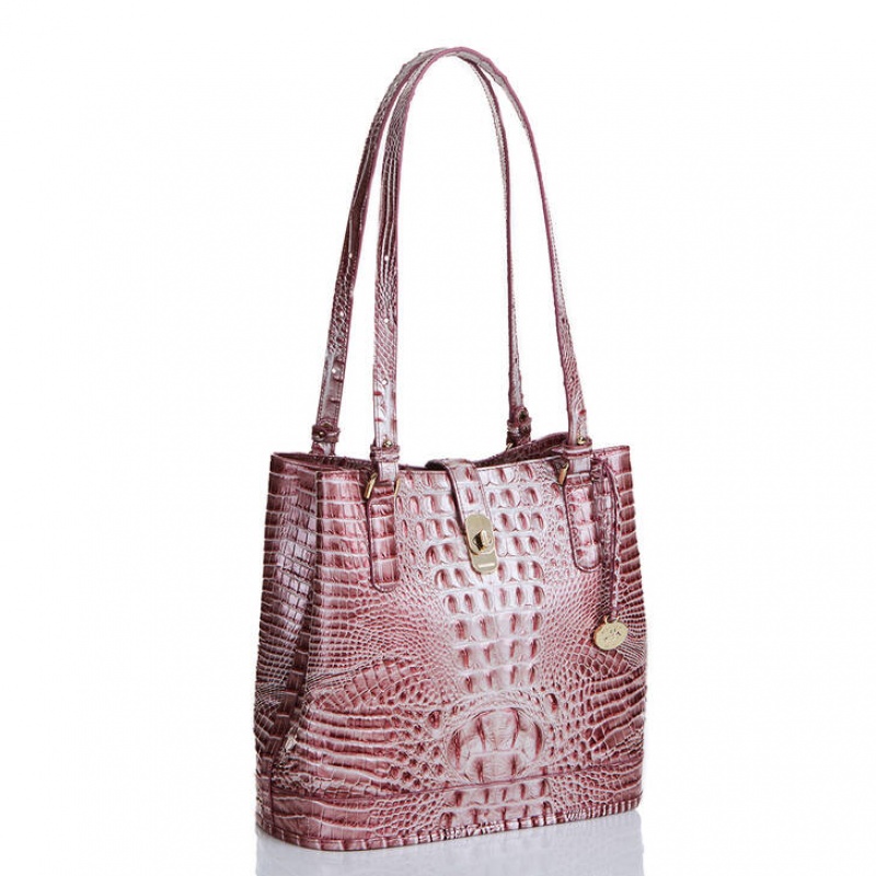 Pink Women's Brahmin Fiora Bucket Bags | 7925LBGYJ