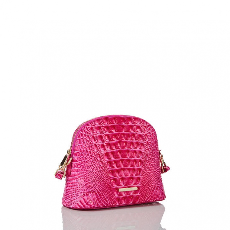 Pink Women's Brahmin Small Georgina Crossbody Bags | 4839BJTCX