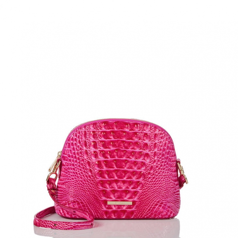 Pink Women\'s Brahmin Small Georgina Crossbody Bags | 4839BJTCX