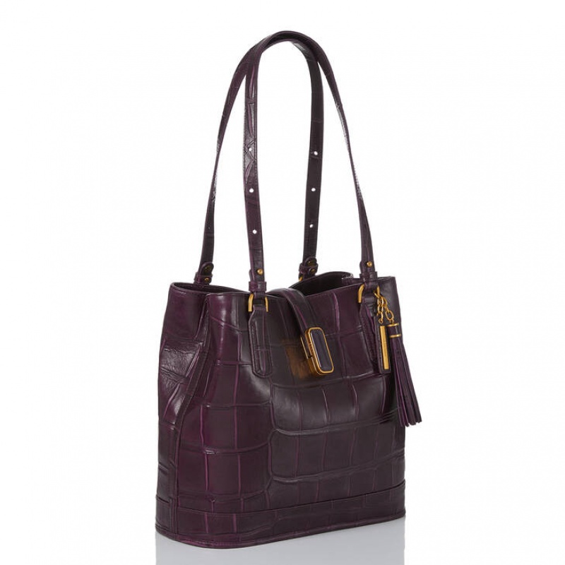 Purple Women's Brahmin Fiora Bucket Bags | 0398XFSLW